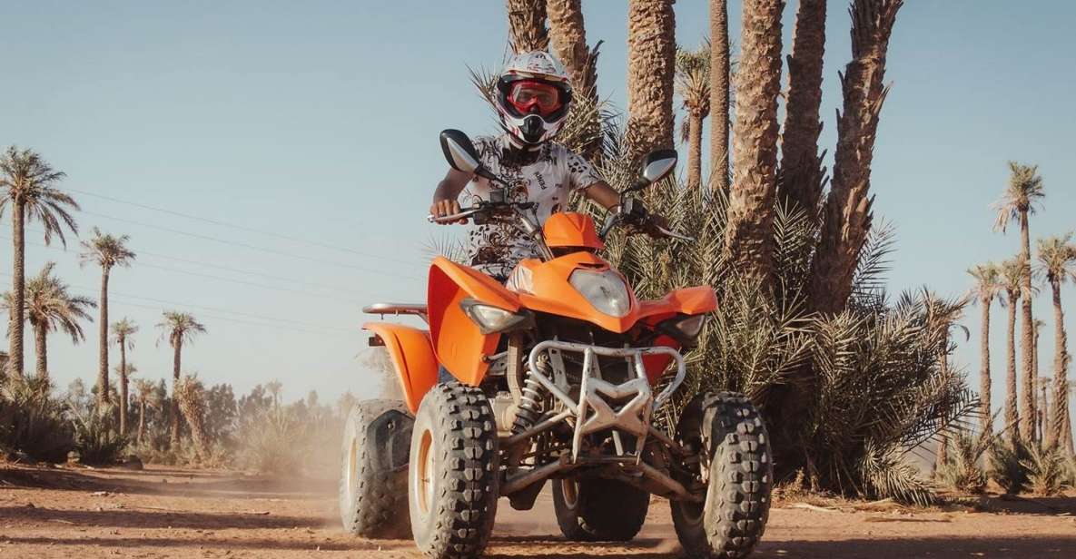 From Marrakech : Quad Bike in Palmeraie - Key Points