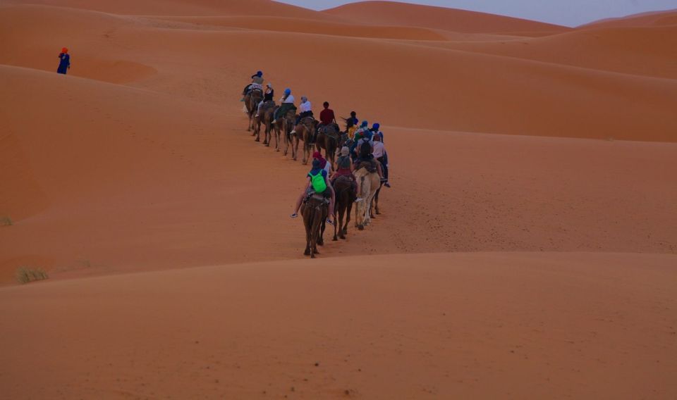From Marrakech: Sahara Desert 3-Day Group Tour - Key Points