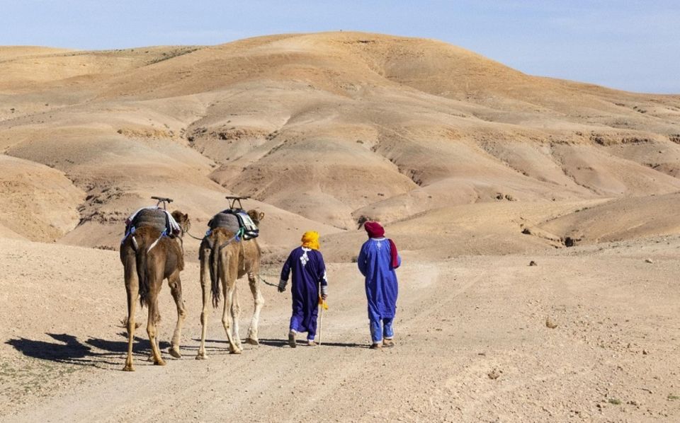 From Marrakesh: Agafay Desert Day Trip W/ Swimming and Lunch - Key Points