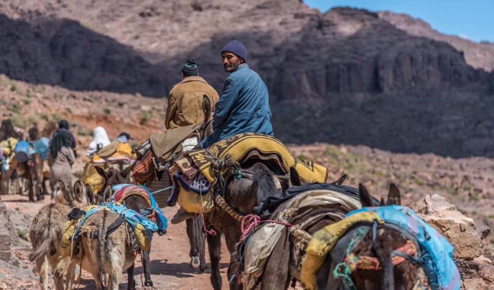 From Marrakesh: Atlas Mountains in Imlil Day Trip With Lunch - Key Points