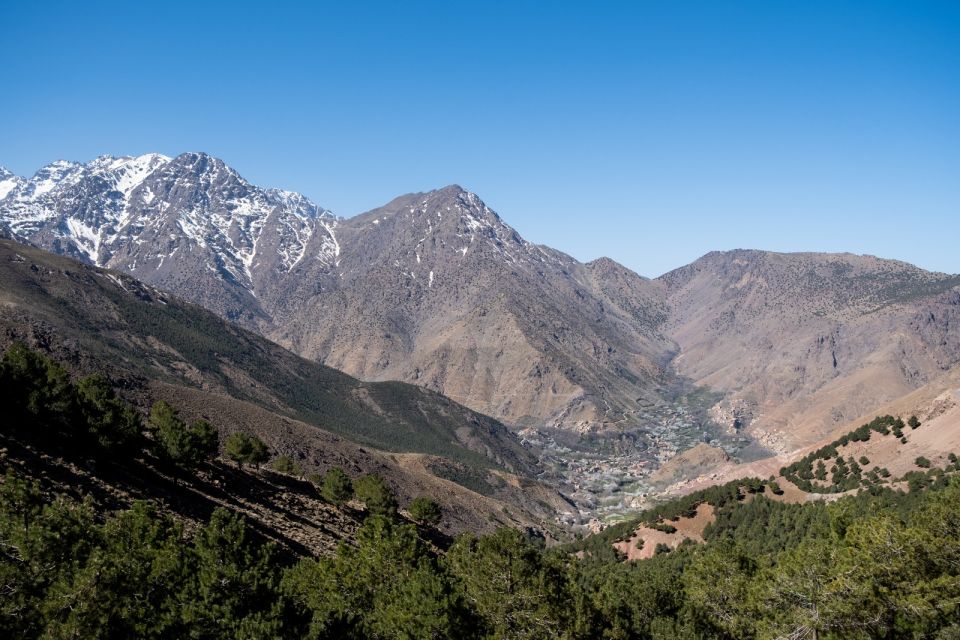From Marrakesh: Atlas Mountains Talamrout Summit Day Hike - Key Points