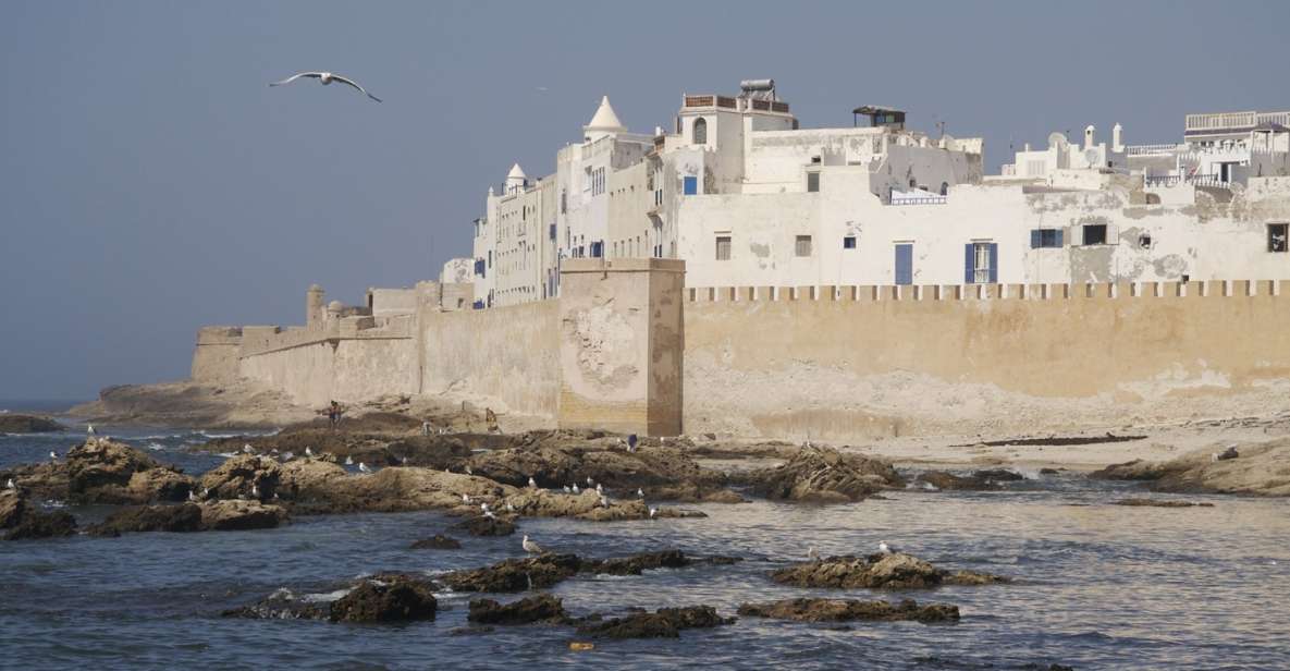 From Marrakesh: Essaouira Full-Day Trip - Key Points