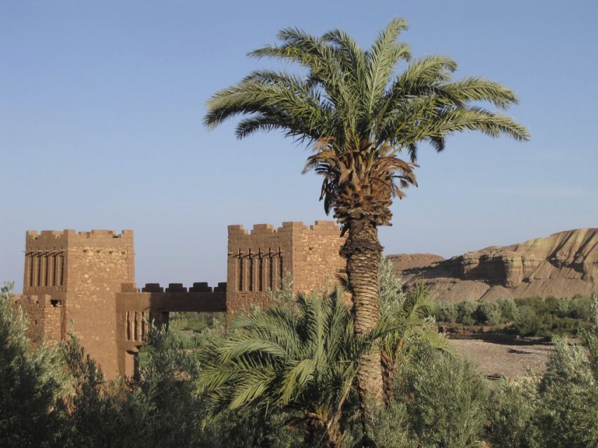 From Marrakesh: Ouarzazate & Ait Ben Haddou Day Tour - Tour Highlights