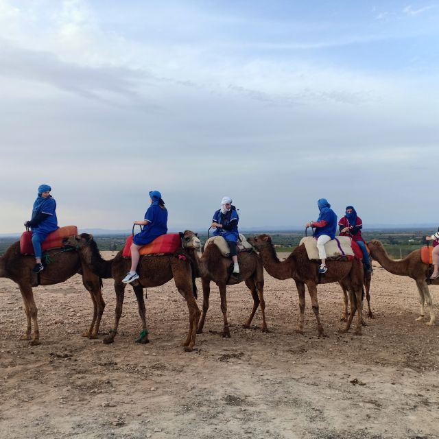 From Marrakesh: Sunset Camel Ride in the Agafay Desert - Key Points