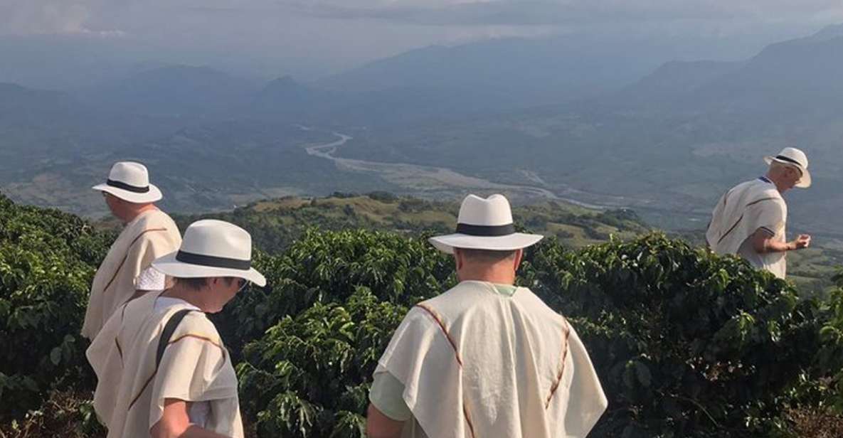 From Medellin: Full Day Fredonia Coffee Private Tour - Key Points