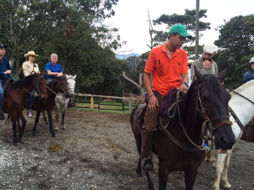 From Medellin: Guided Horseback Riding Tour in Nature - Key Points