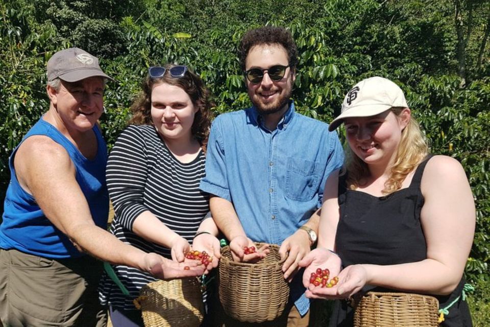 From Medellin: Private Envigado Coffee Tour With Tastings - Key Points