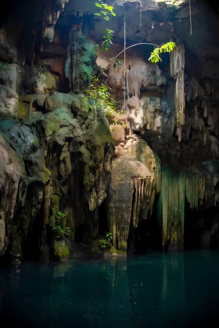 From Mérida: Mayan Santuary, Cenote & Kukulkan Nights Show - Experience Mayan Sanctuary Visit