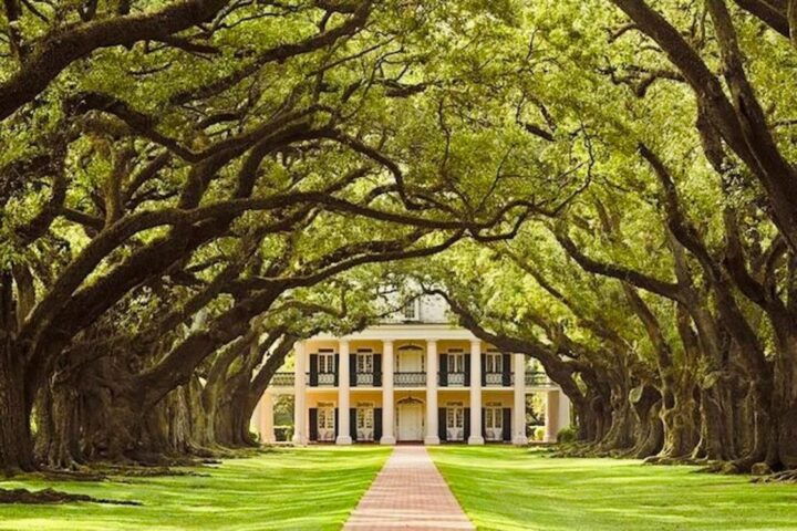 From New Orleans: Oak Alley or Laura Plantation Tour - Key Points