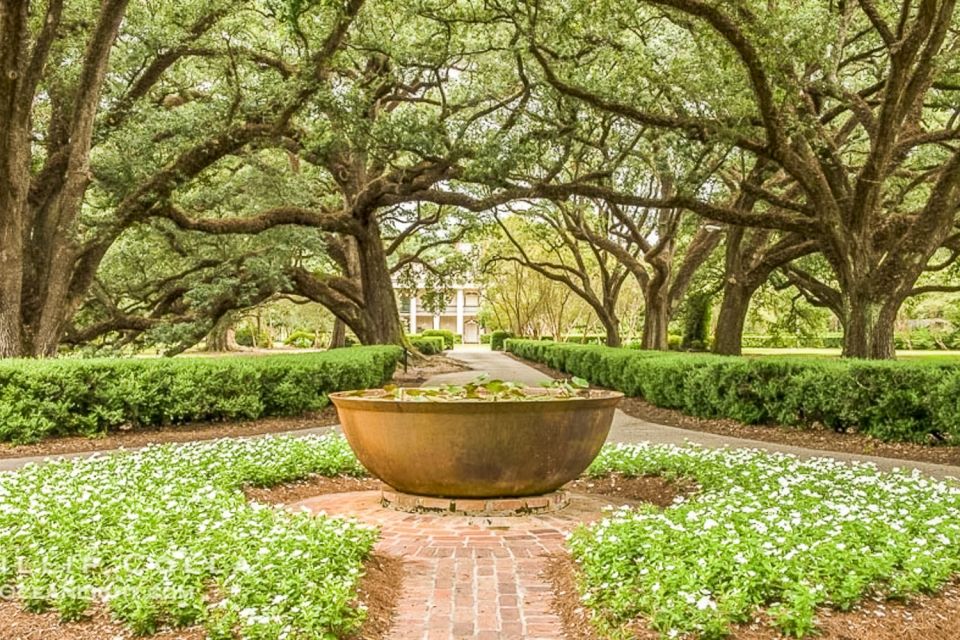 From New Orleans: Oak Alley Plantation Tour - Key Points