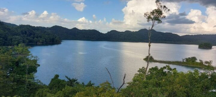 From Ocosingo: Guineo Lagoon Private Tour - Key Points