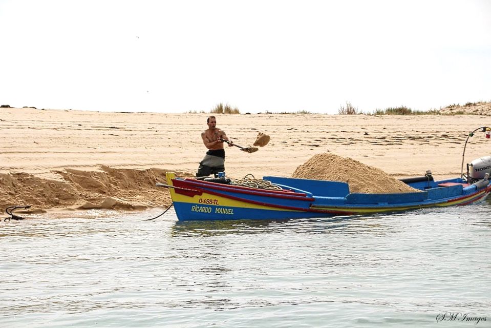 From Olhão: 3 Islands Boat Trip Ria Formosa - Key Points