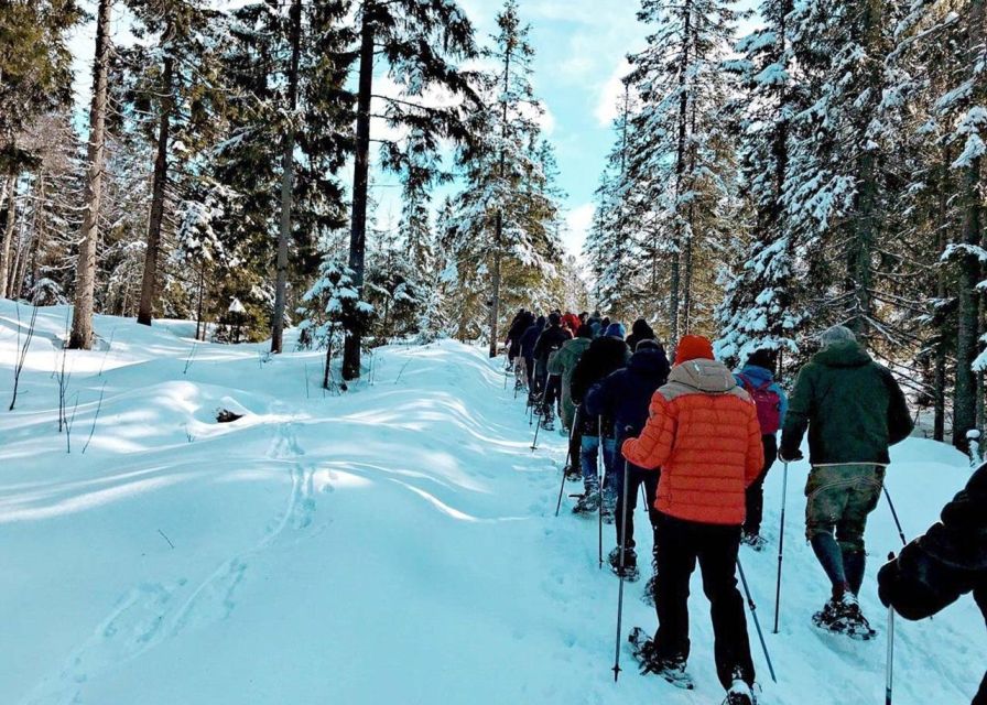 From Oslo: Oslomarka Forest Guided Snowshoeing Tour - Key Points