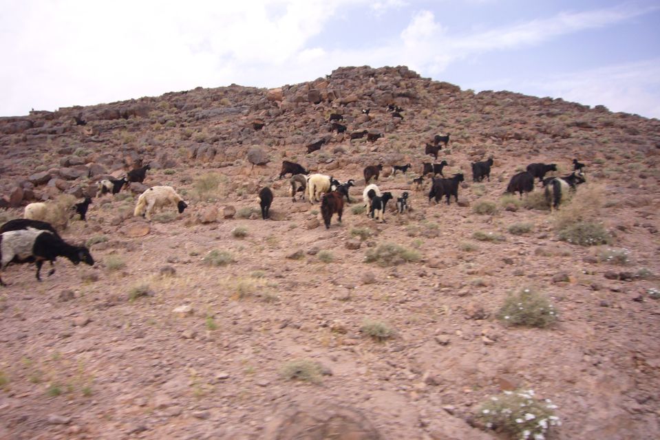 From Ouarzazate: 2-Day Erg Lihdoui and Mhamid Desert Tour - Key Points