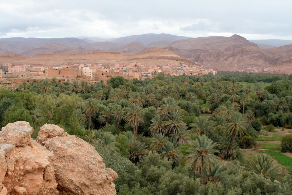 From Ouarzazate: Todra Gorges and 1000 Casbahs Road Day Tour - Key Points