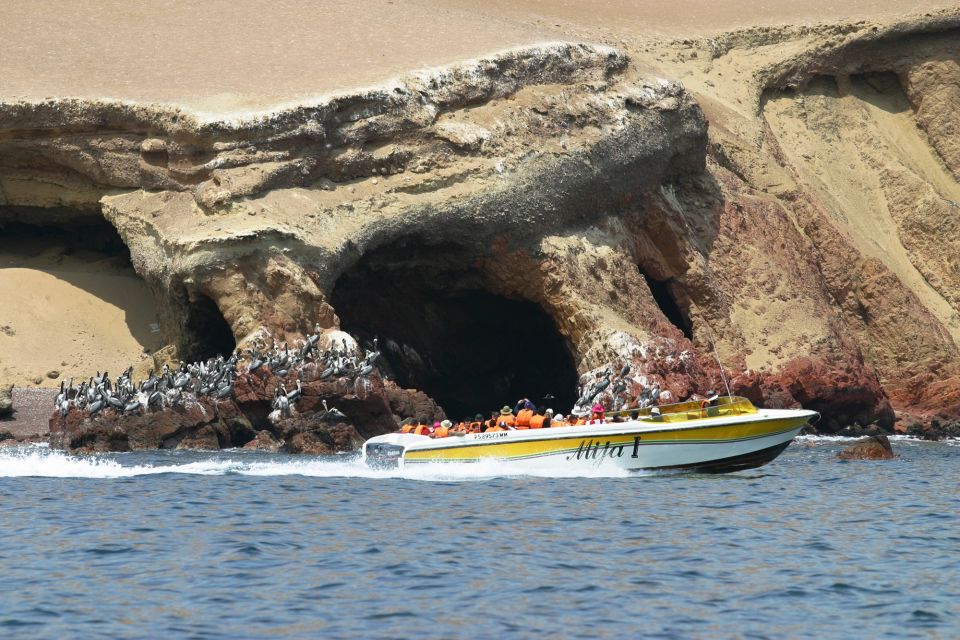 From Paracas: Ballestas Island Boat Tour With Entrances - Key Points