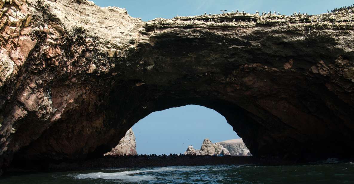 From Paracas: Ballestas Island Marine Wildlife Watching - Key Points