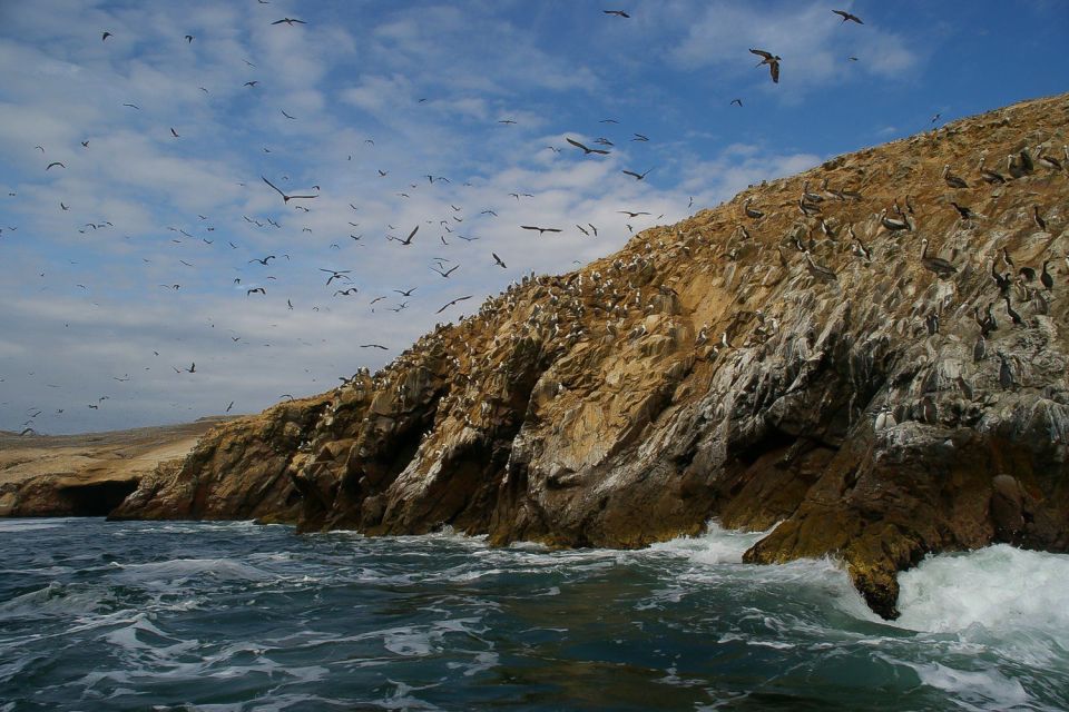 From Paracas: Ballestas Islands & Paracas National Reserve - Key Points