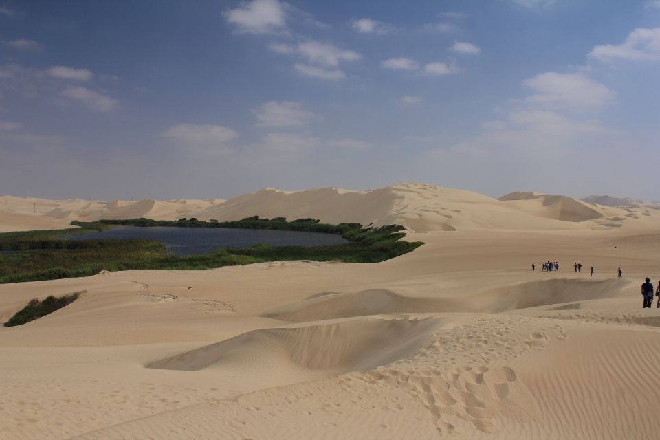 From Paracas: Mini Buggy Tour & Sandboarding at Oasis - Key Points