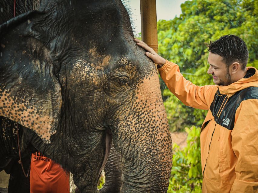 From Phuket: Elephant Jungle Sanctuary Feed and Shower Trip - Key Points