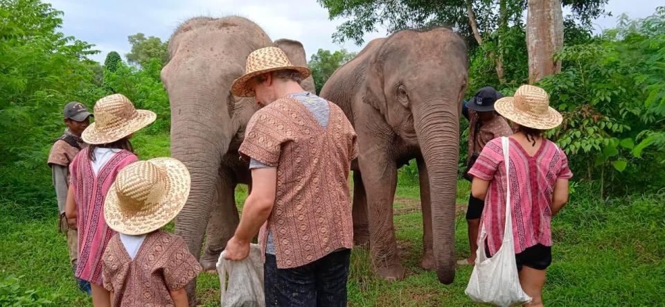 From Phuket: Ethical Elephant Interactive Trek and Tour - Key Points