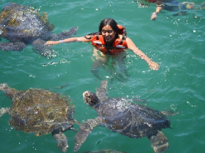 From Piura Excursion to Mancora Swimming With Turtles - Key Points