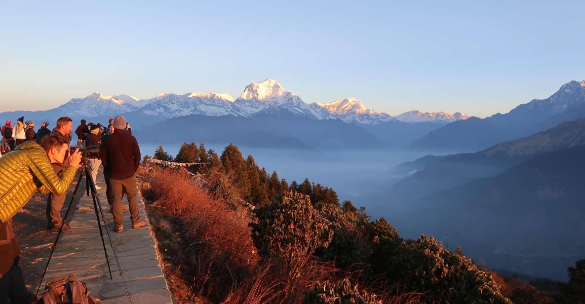 From Pokhara: 2 Night 3 Days Poon Hill Trek - Key Points