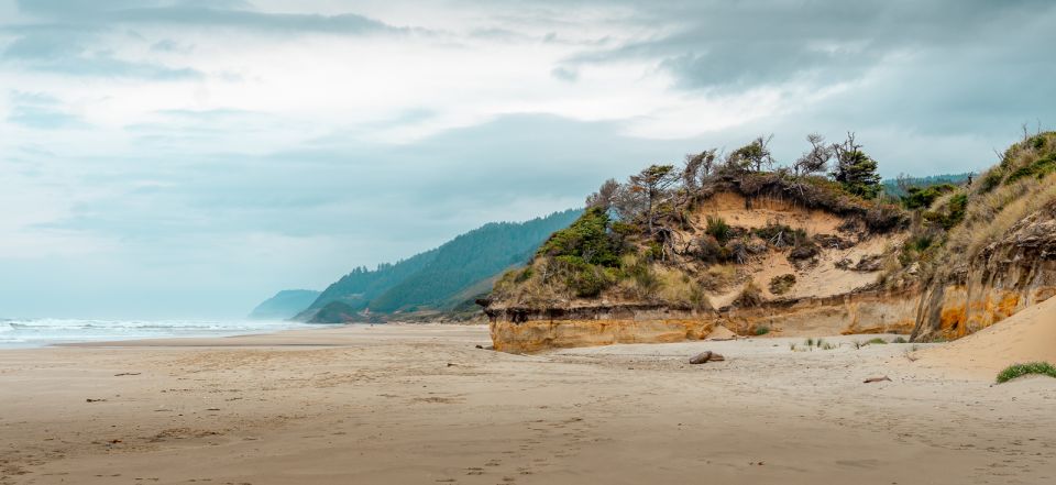 From Portland: Oregon Coast Day Trip Cannon Beach Area - Key Points