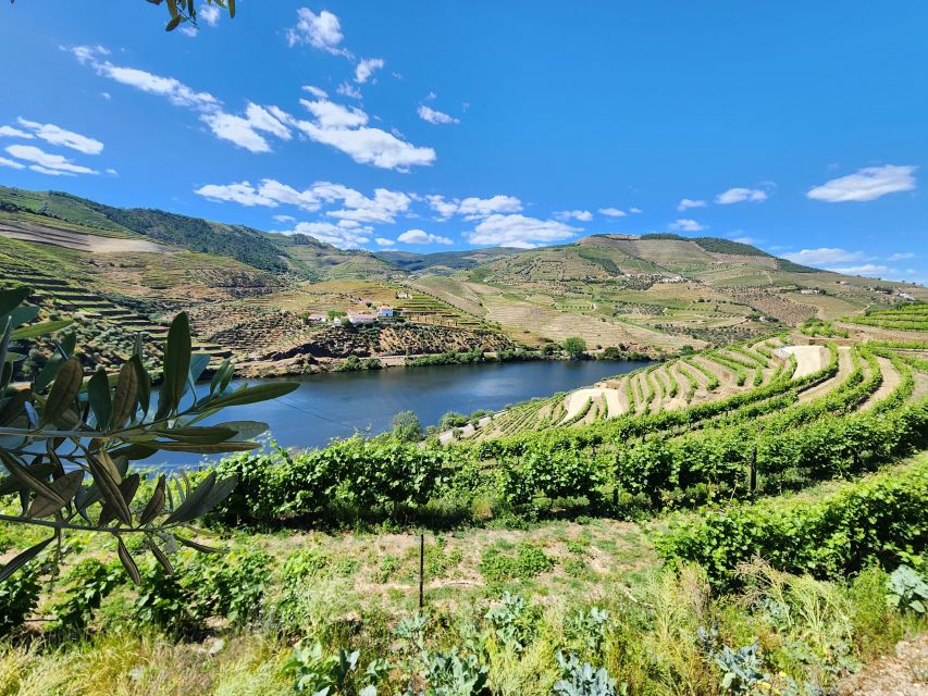 From Porto: Private Tour With 2 Wineries and Boat Ride - Key Points