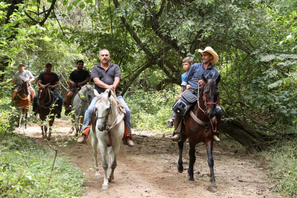 From Puerta Vallarta: Jungle Horseback Riding Tour - Key Points