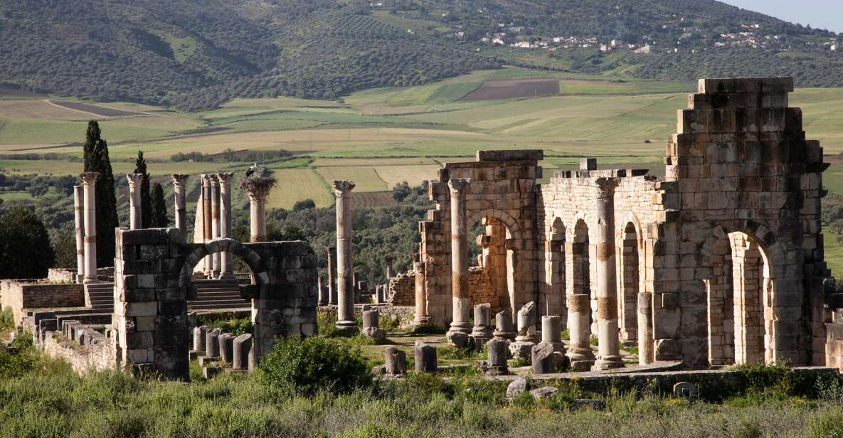 From Rabat: Volubilis and Meknes Full-day Tour - Key Points