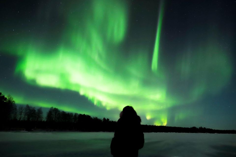 From Rovaniemi: Aurora Borealis Trip in Lapland Lakeside - Key Points