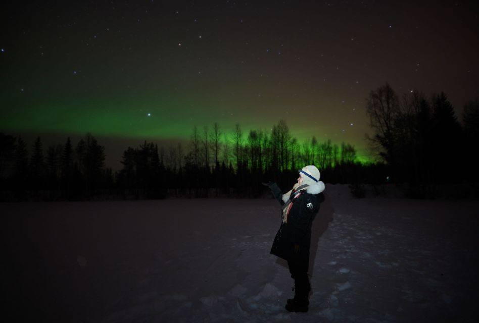 From Rovaniemi: Aurora Dreamscape Tour in the Wild - Key Points