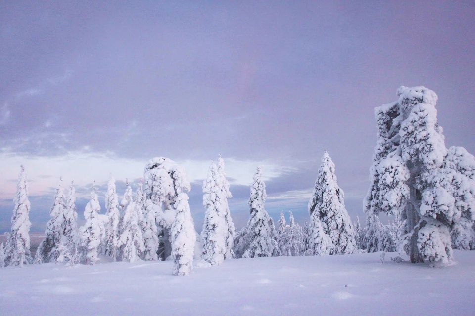 From Rovaniemi: Korouoma Canyon & Frozen Waterfalls Tour - Key Points