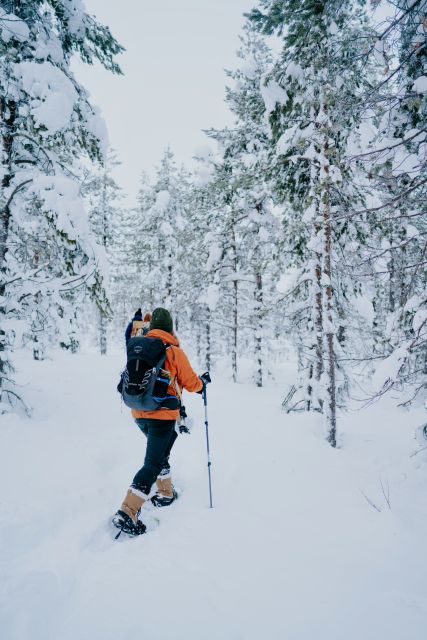 From Rovaniemi: Lapland Snowshoeing Adventure - Key Points