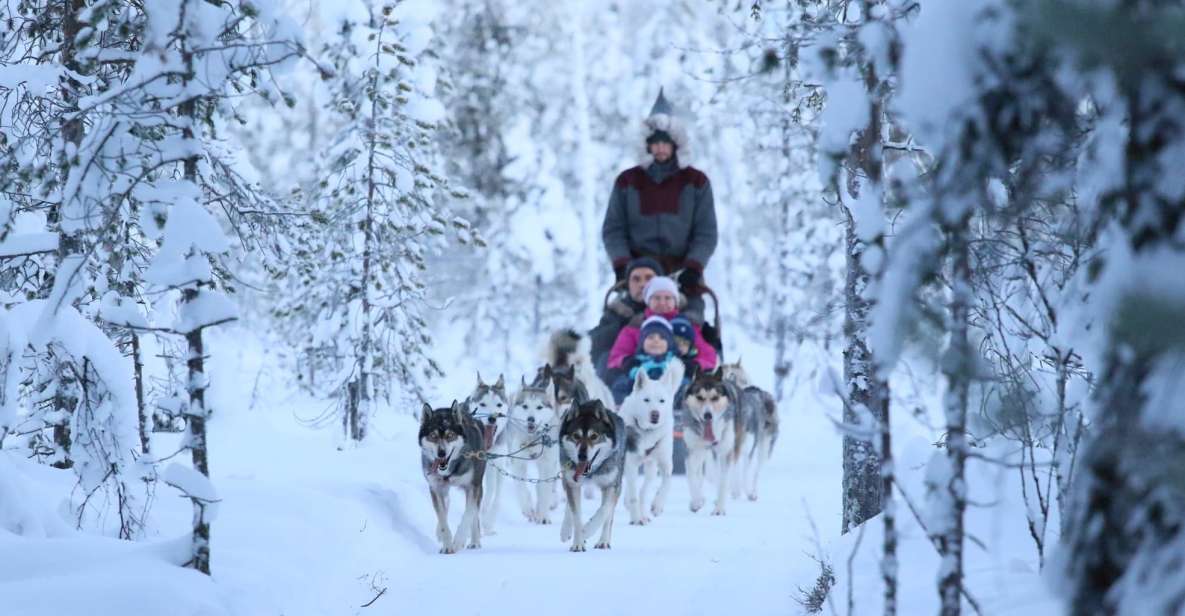 From Rovaniemi: Self-Driven 10km Husky Sled Ride - Key Points