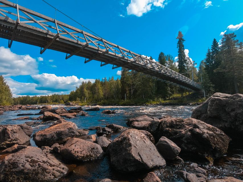 From Rovaniemi: Vikaköngäs Forest Hiking Tour With BBQ - Key Points