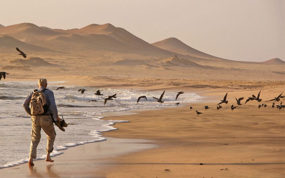 From San Martin Port: 3-Hour Paracas Reserve Tour - Tour Duration and Guide Availability