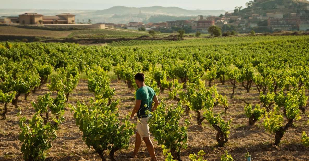 From San Sebastián: La Rioja Wine Region Day Tour - Key Points