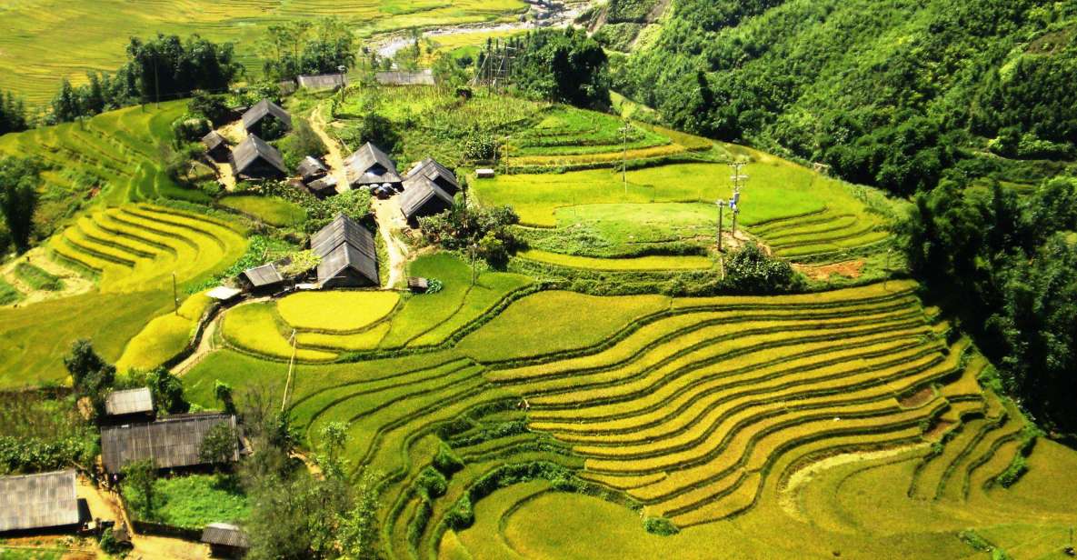 From Sapa: Terrace Fields and Local Villages Trek With Lunch - Key Points