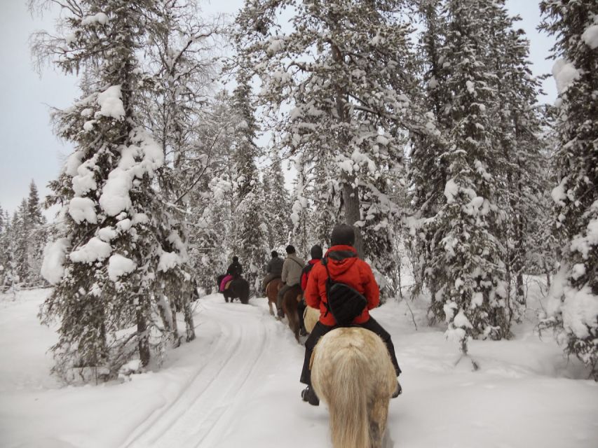 From Sirkka: Guided Wilderness Horse Riding Experience - Key Points