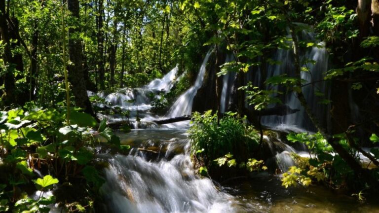 From Split or Trogir: Plitvice Lakes Trip With Entry Ticket