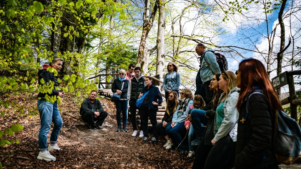 From Split: Plitvice Lakes Guided Tour - Key Points