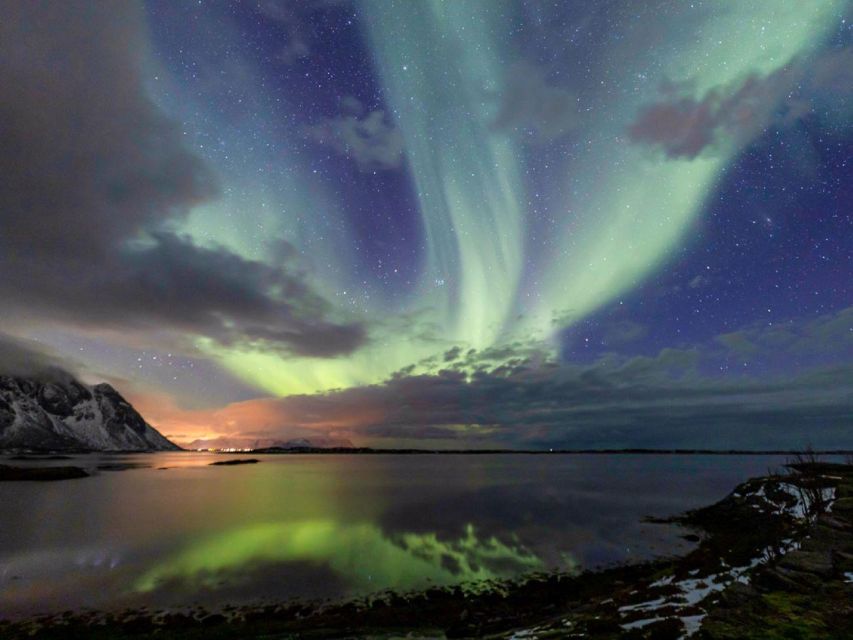 From Svolvær: Guided Northern Lights Tour by Van - Key Points