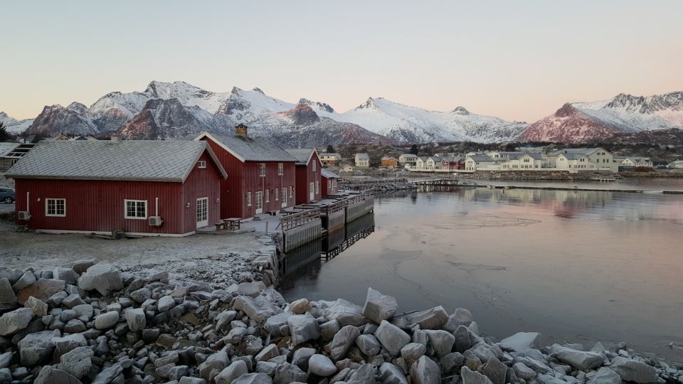 From Svolvaer: Lofoten Islands Tour With Photographer Guide - Key Points