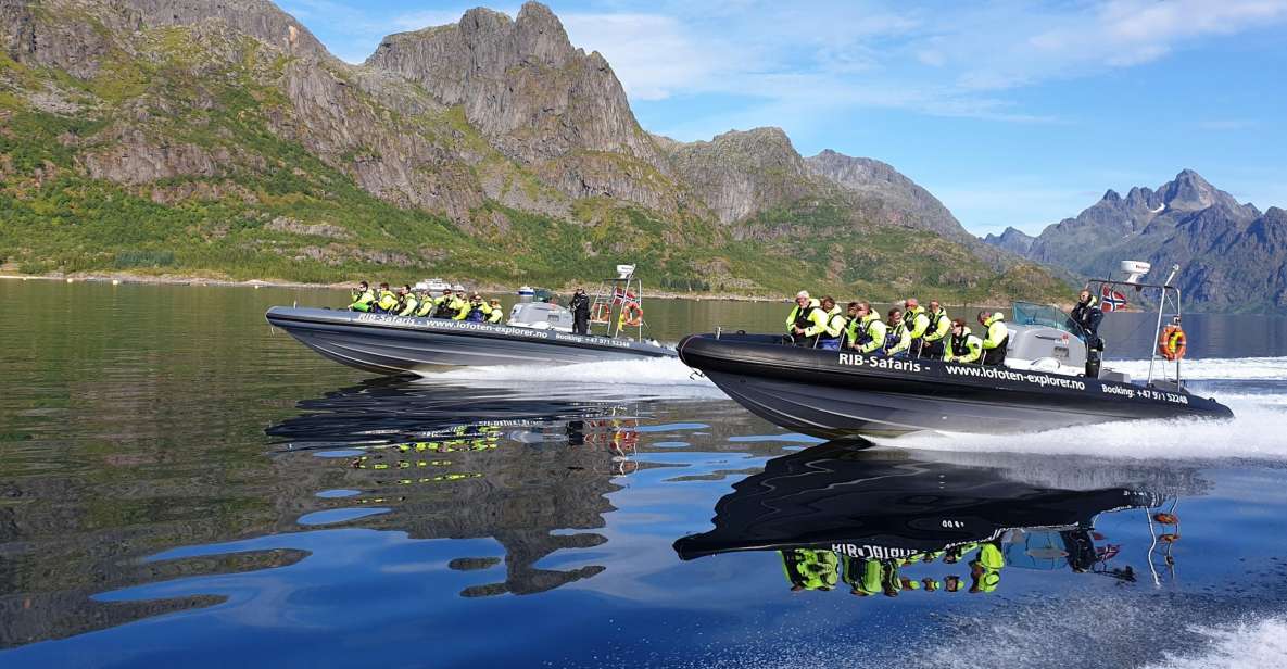 From Svolvaer: Trollfjorden Wildlife RIB Cruise - Key Points