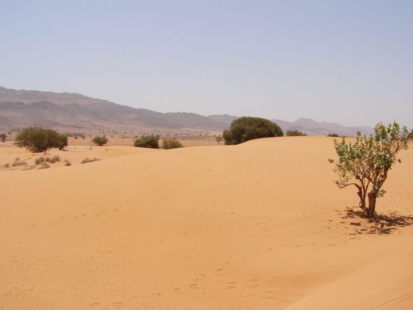 From Taghazout: Sahara Desert Day Trip in a Jeep With Lunch - Key Points