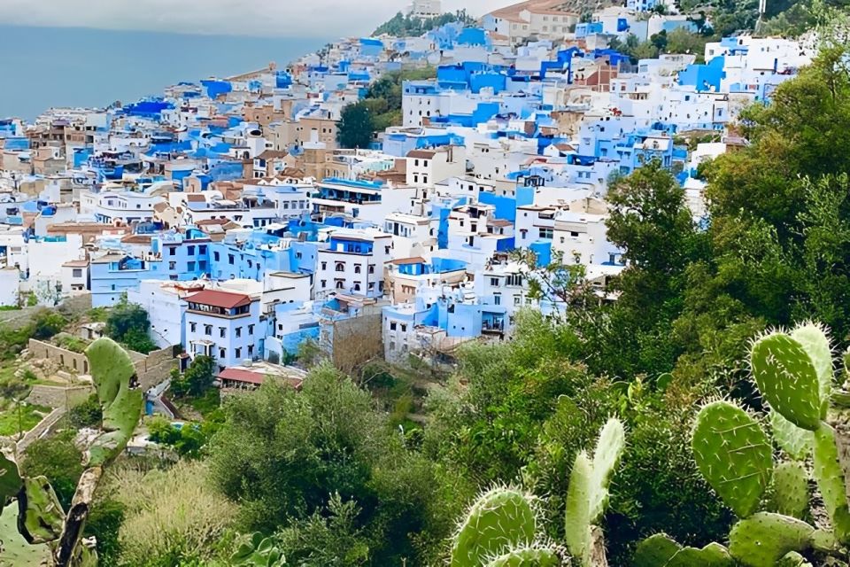 From Tangier: Chefchaouen Private Day Tour - Key Points