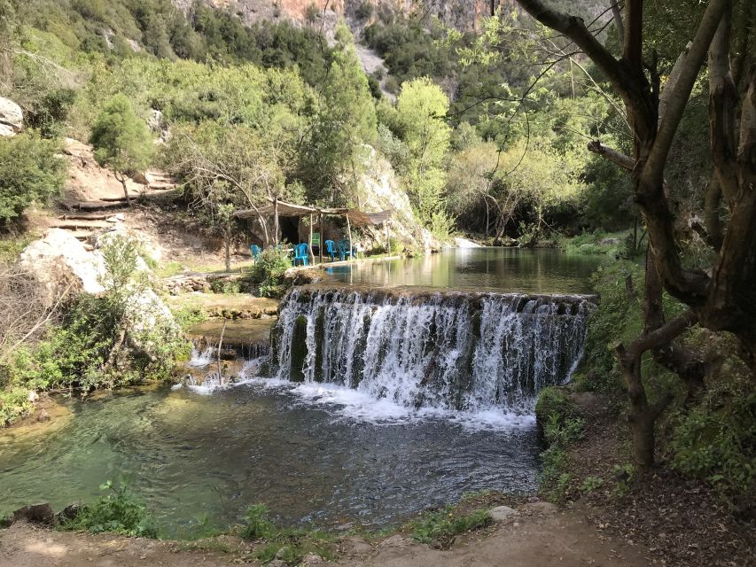 From Tangier: Day Trip to Chefchaouen and Akchour Waterfalls - Key Points