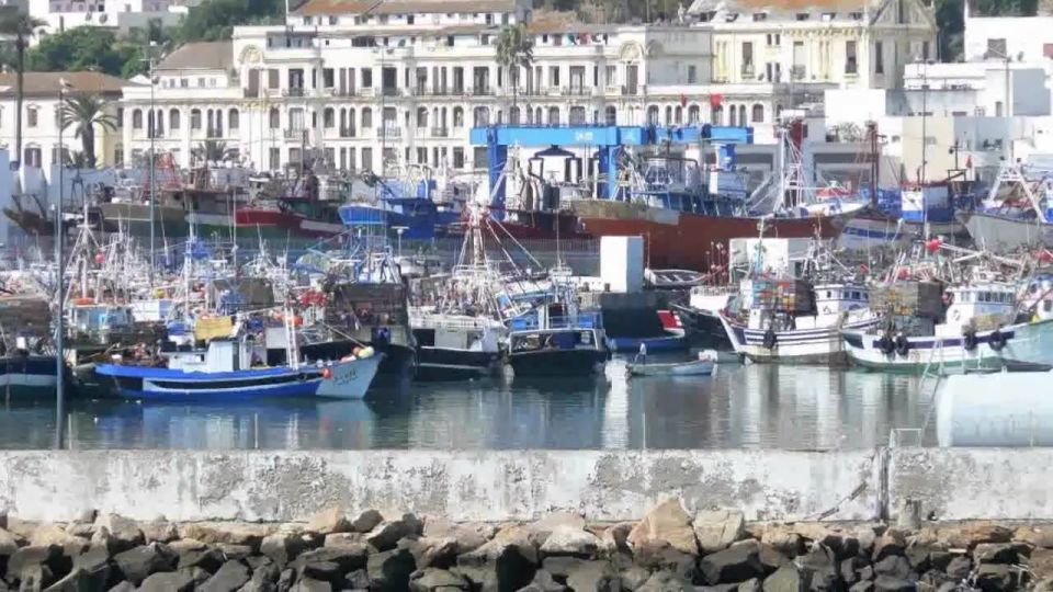 From Tangier: Full-Day Tangier, Asilah, & Cape Spartel Tour - Key Points